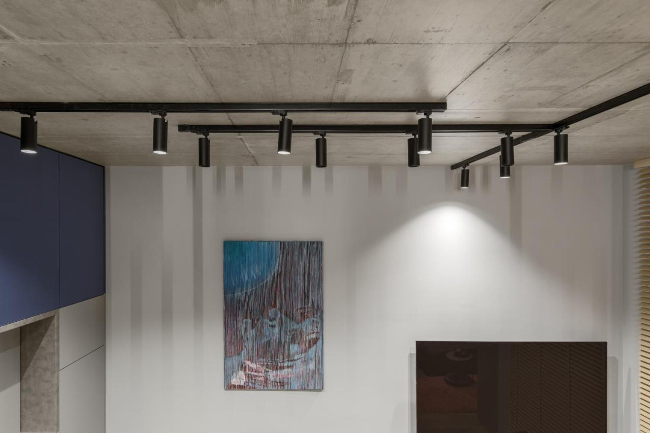 Ivis House Modern Apartment In Vilnius Old Town With Balcony ヴィリニュス エクステリア 写真