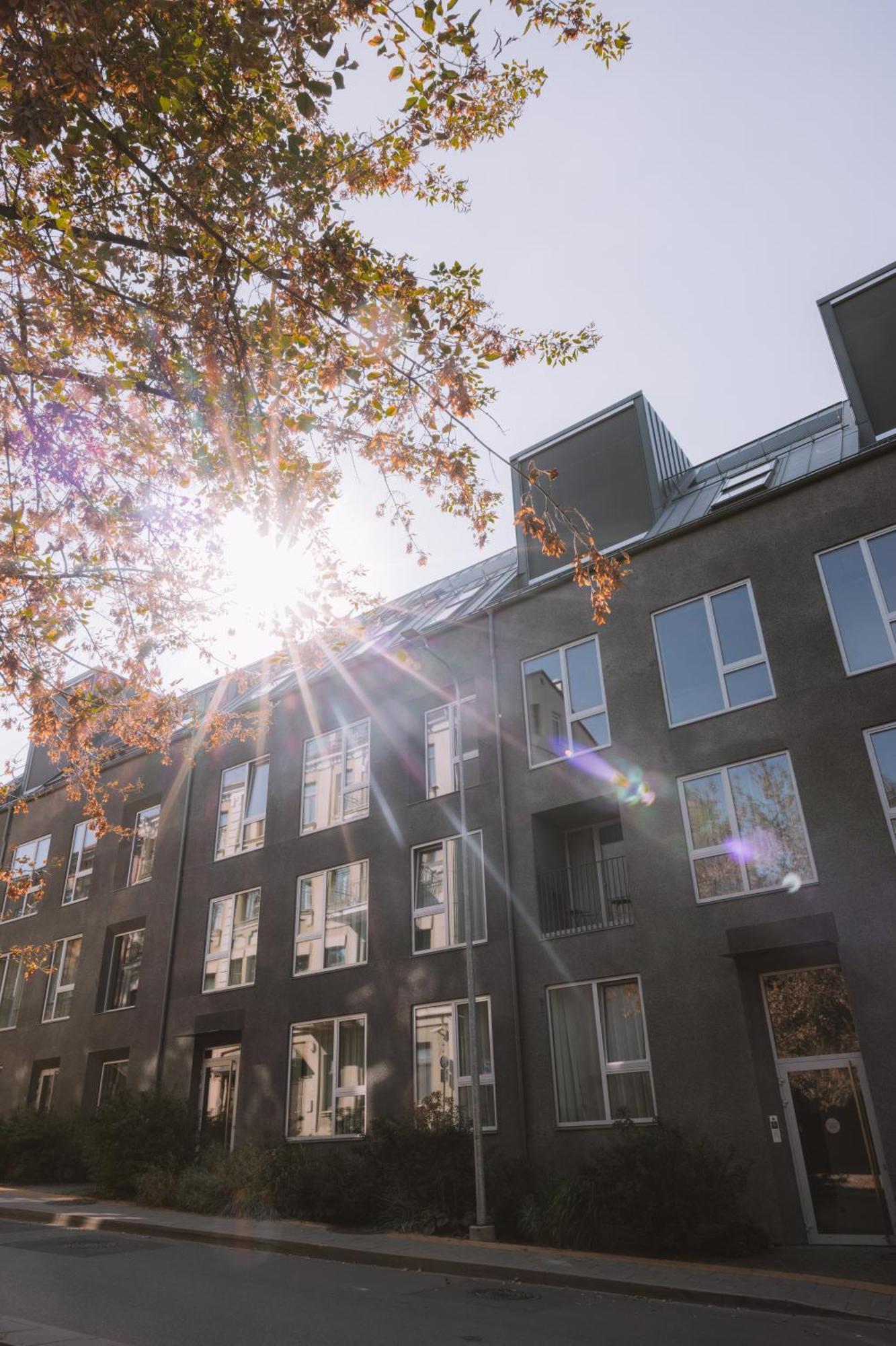 Ivis House Modern Apartment In Vilnius Old Town With Balcony ヴィリニュス エクステリア 写真